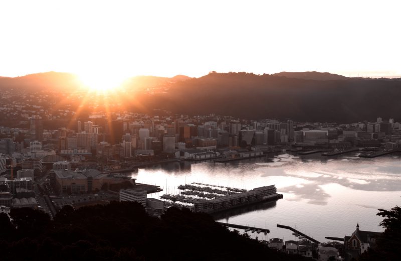 With coronavirus under control, Vietnam and New Zealand see different travel trends