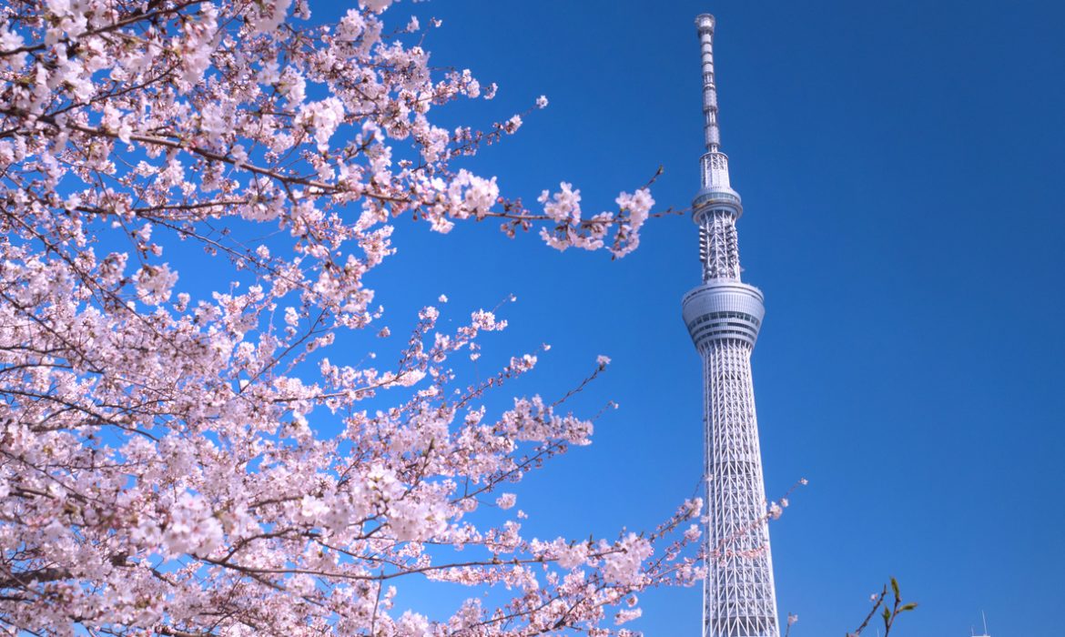 Japan’s Abe faces anger over tourism subsidy as Tokyo COVID-19 cases hit record