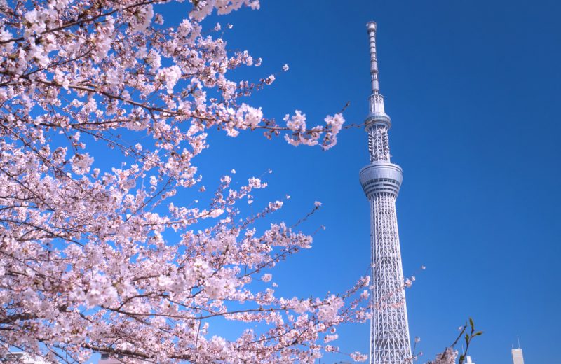 Japan’s Abe faces anger over tourism subsidy as Tokyo COVID-19 cases hit record