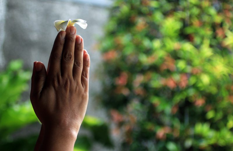 Bali holds mass prayers for reopening from coronavirus lockdown