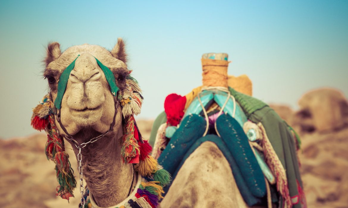 With tourists slow to return, Egypt’s resorts and ancient sites face tough winter