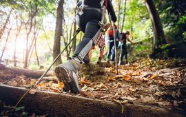 Volvemos a las excursiones con cifras récord