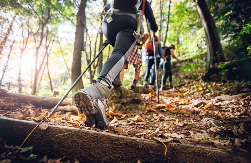 Volvemos a las excursiones con cifras récord