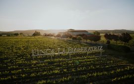 Enoturismo en Finca La Emperatriz: viñedo, historia y cultura