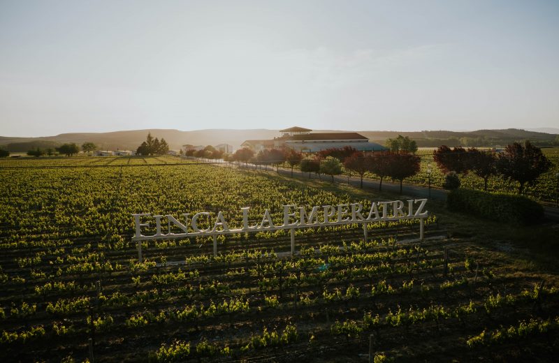 Enoturismo en Finca La Emperatriz: viñedo, historia y cultura