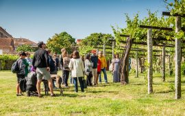 Primavera de Puertas Abiertas en la Ruta del Vino Rías Baixas
