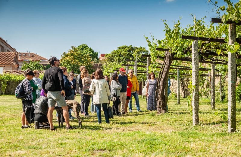 Spring Open Doors in the Rías Baixas Wine Route