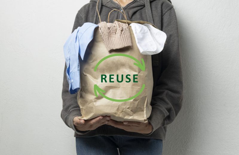 Green and elegant: The eco wave of fashion