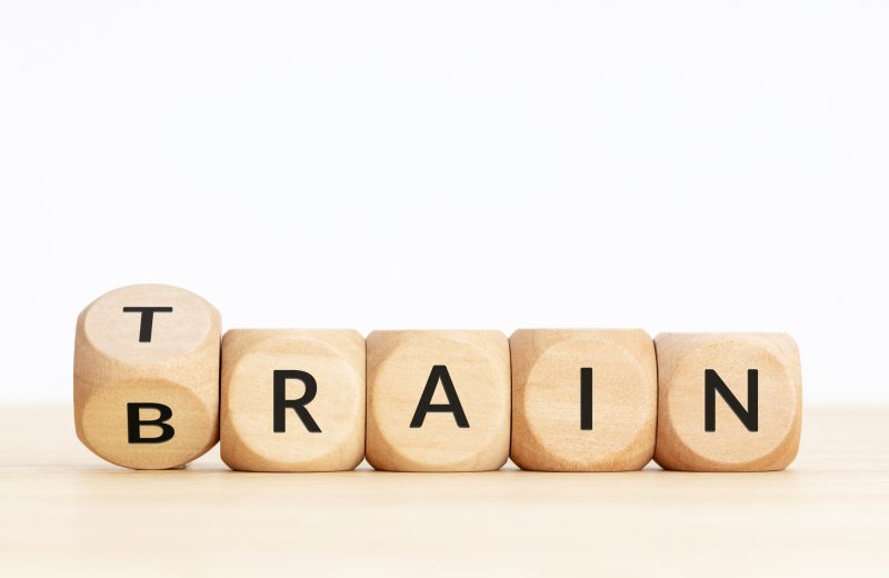Entrena tu cerebro y despierta tu potencial