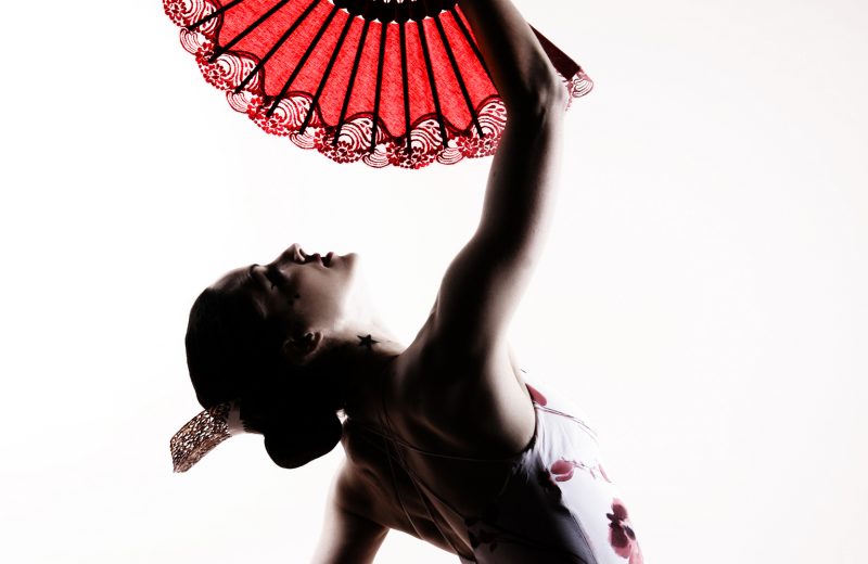 Flamenco: A journey through time and its transformation