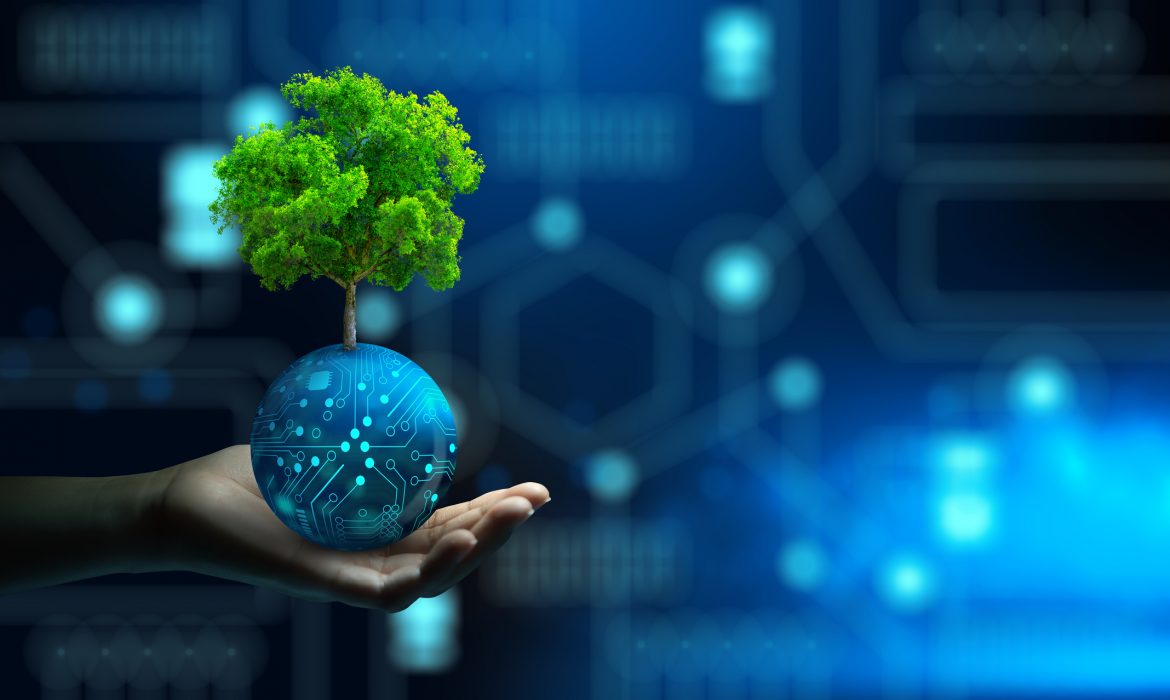 Navigating the sustainability maze: Challenges and opportunities